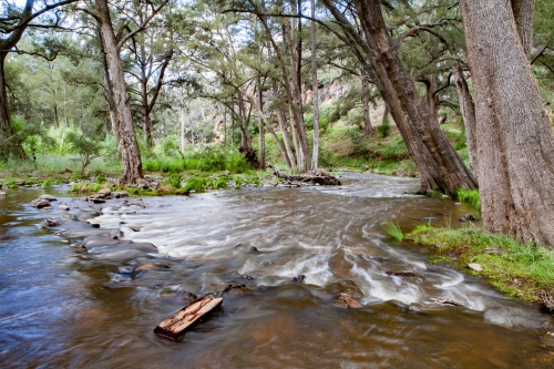 Ophir